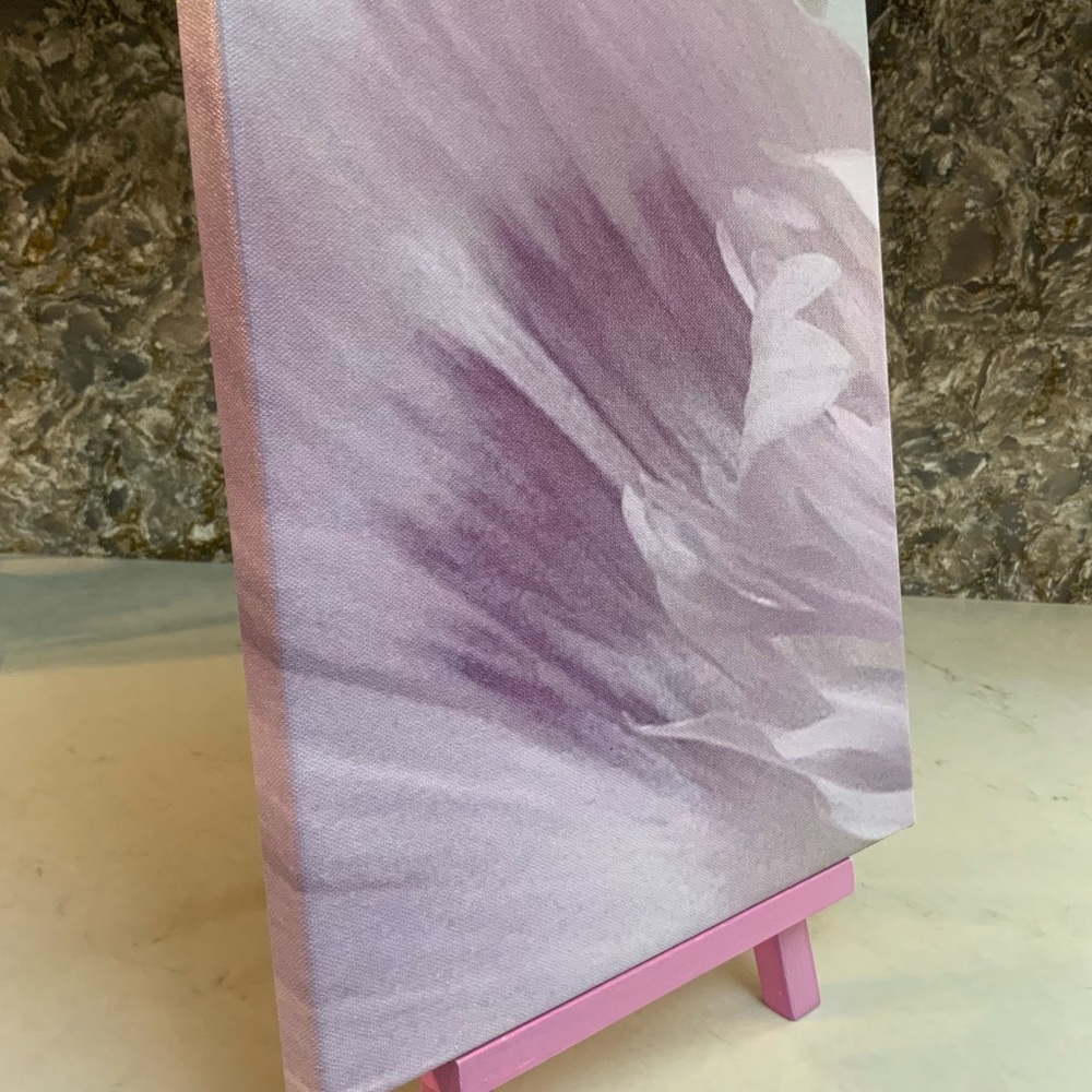 Handmade Ornamental Breadseed Poppy Canvas Picture - Macro - Picture 3 of 8